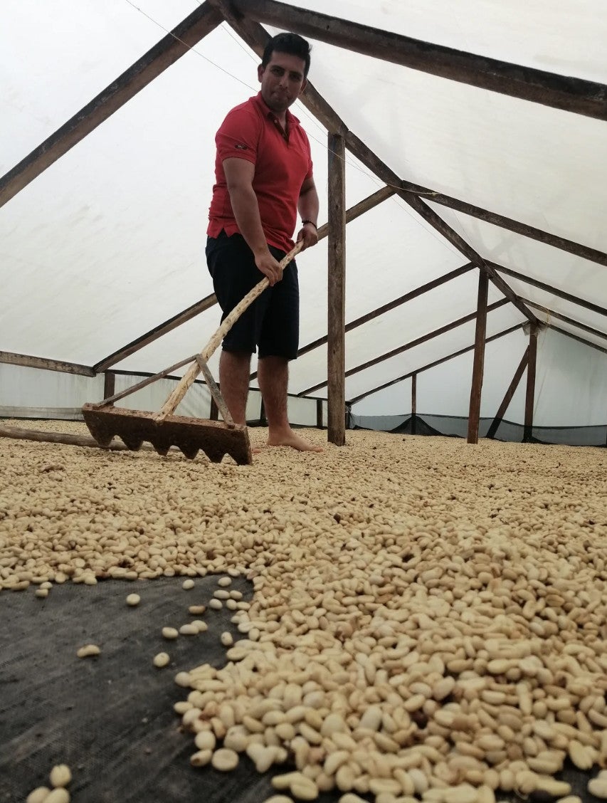 The Decaf Project (by James Hoffmann) | S&W Craft Roasting