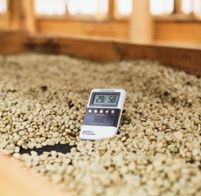 Guatemala Antigua Bella Vista (greenhouse dried)