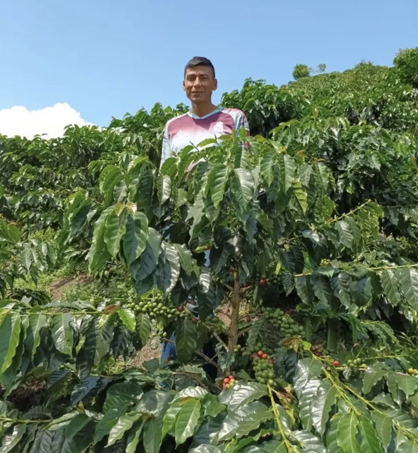 The Decaf Project (by James Hoffmann) | S&W Craft Roasting
