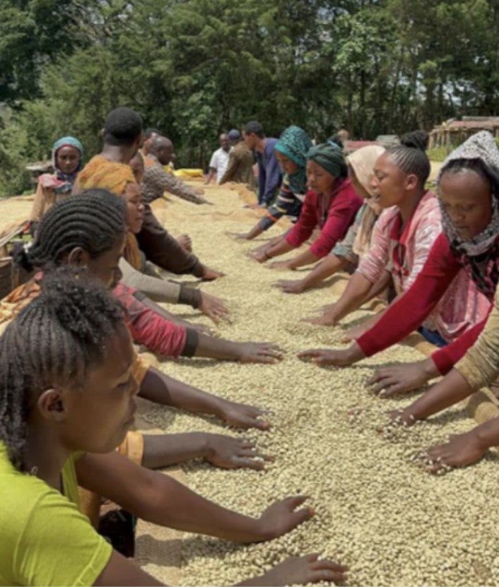 Ethiopia Anaerobic Discount Blend