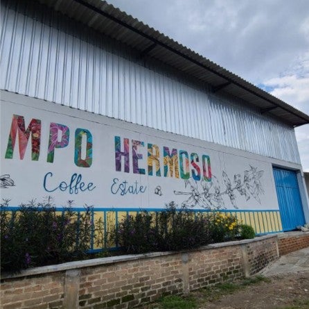 Colombia Finca Sicilia Pedro Nel Salazar Carbonic Honey Mango/Coconut Coferment