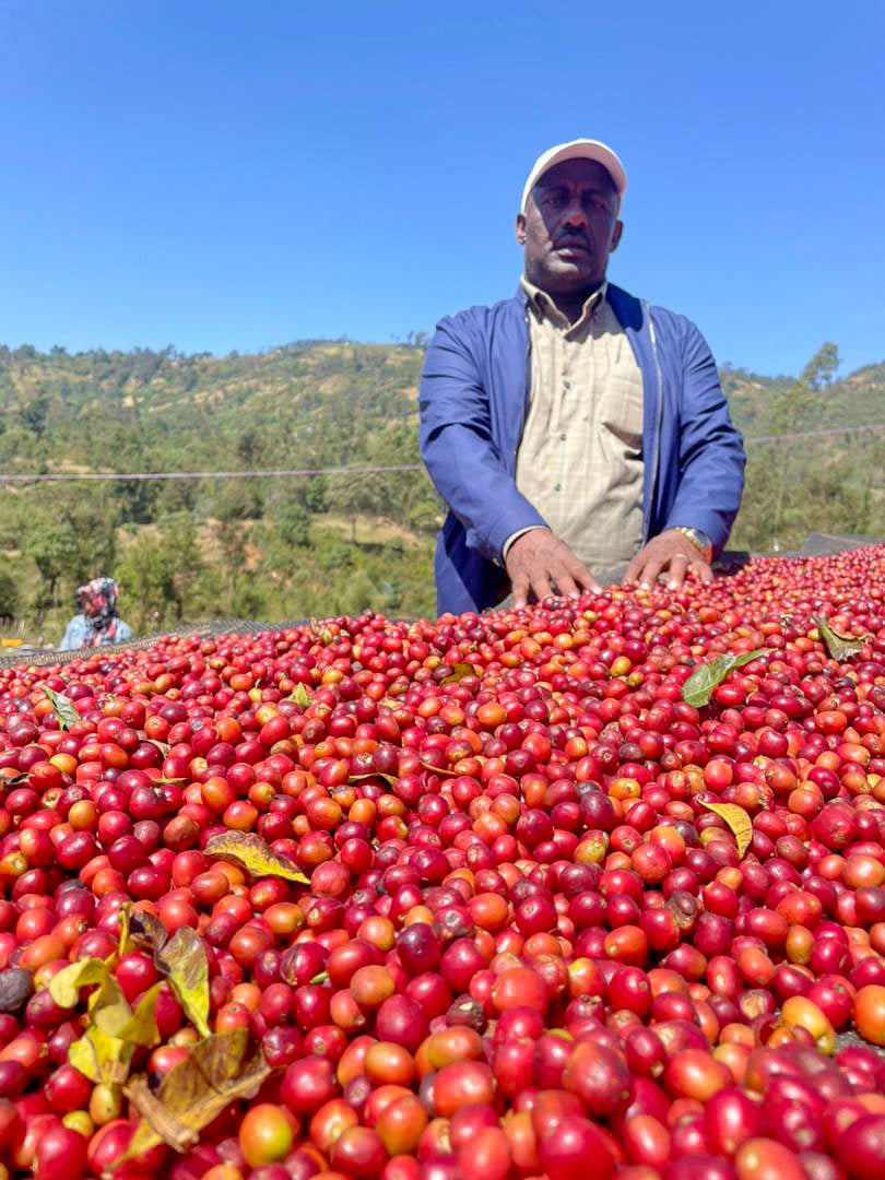 Ethiopia Mullugeta Muntasha Sidama Arbegona Natural