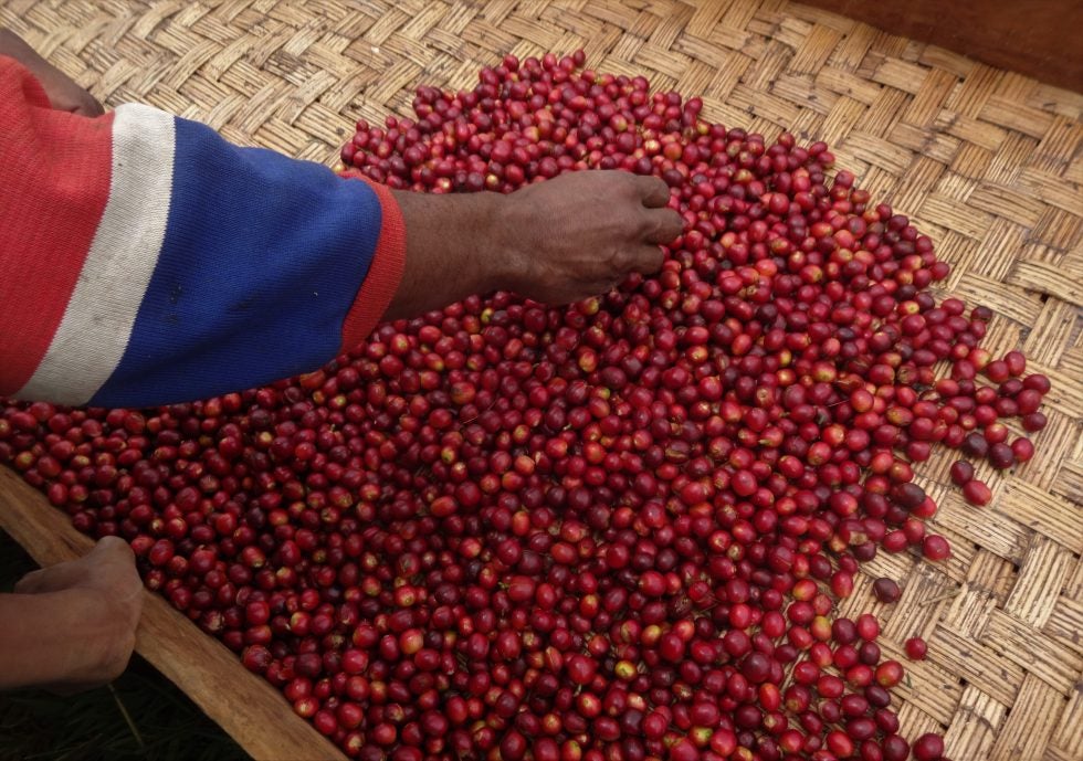 Papua New Guinea Jiwaka Arufa Natural
