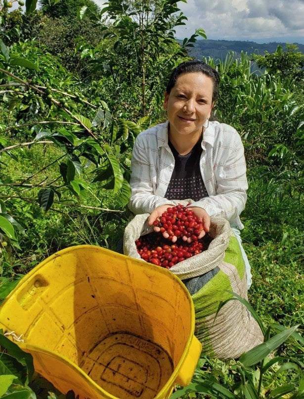 Colombia Honey Gesha Familia Lasso Guevara Vereda Las Águilas