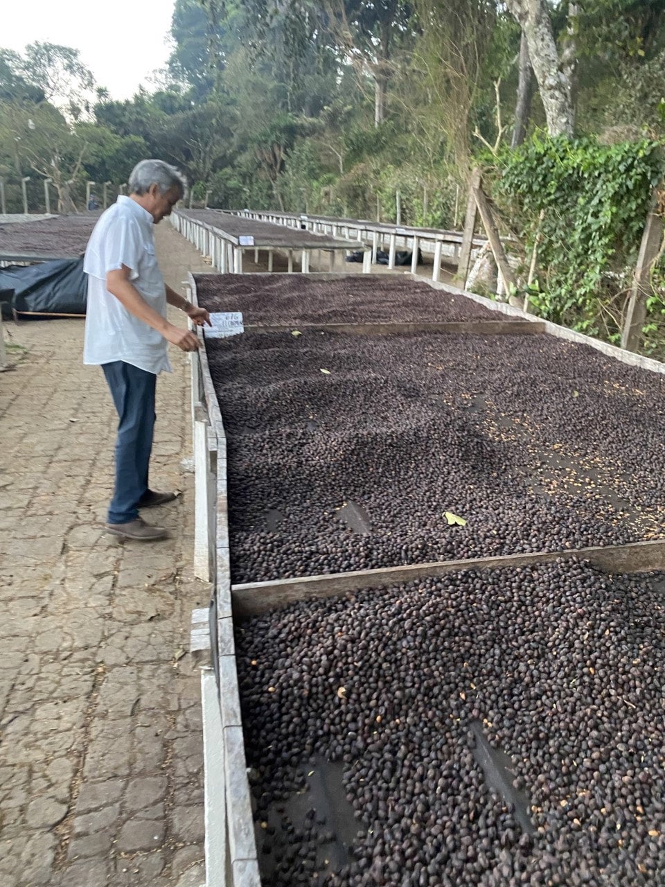 El Salvador El Gobiado Rainbow Bourbon Anaerobic Natural