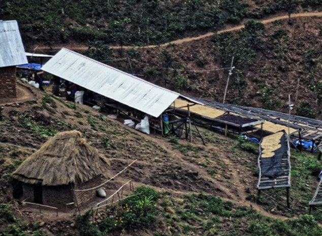 DR Congo Kivu Hutwe Honey