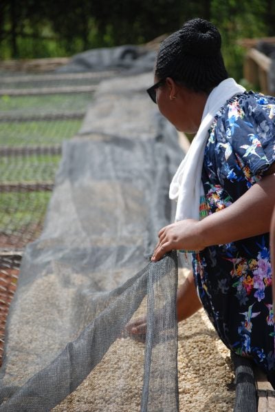 Rwanda Dukorere Kawa Bukure Natural