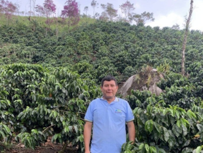 Peru Guardian del Bosque Gesha Natural