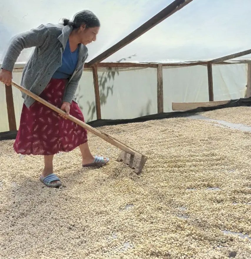 The Decaf Project (by James Hoffmann) | S&W Craft Roasting