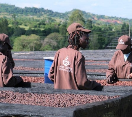Kenya Kii AB | S&W Craft Roasting