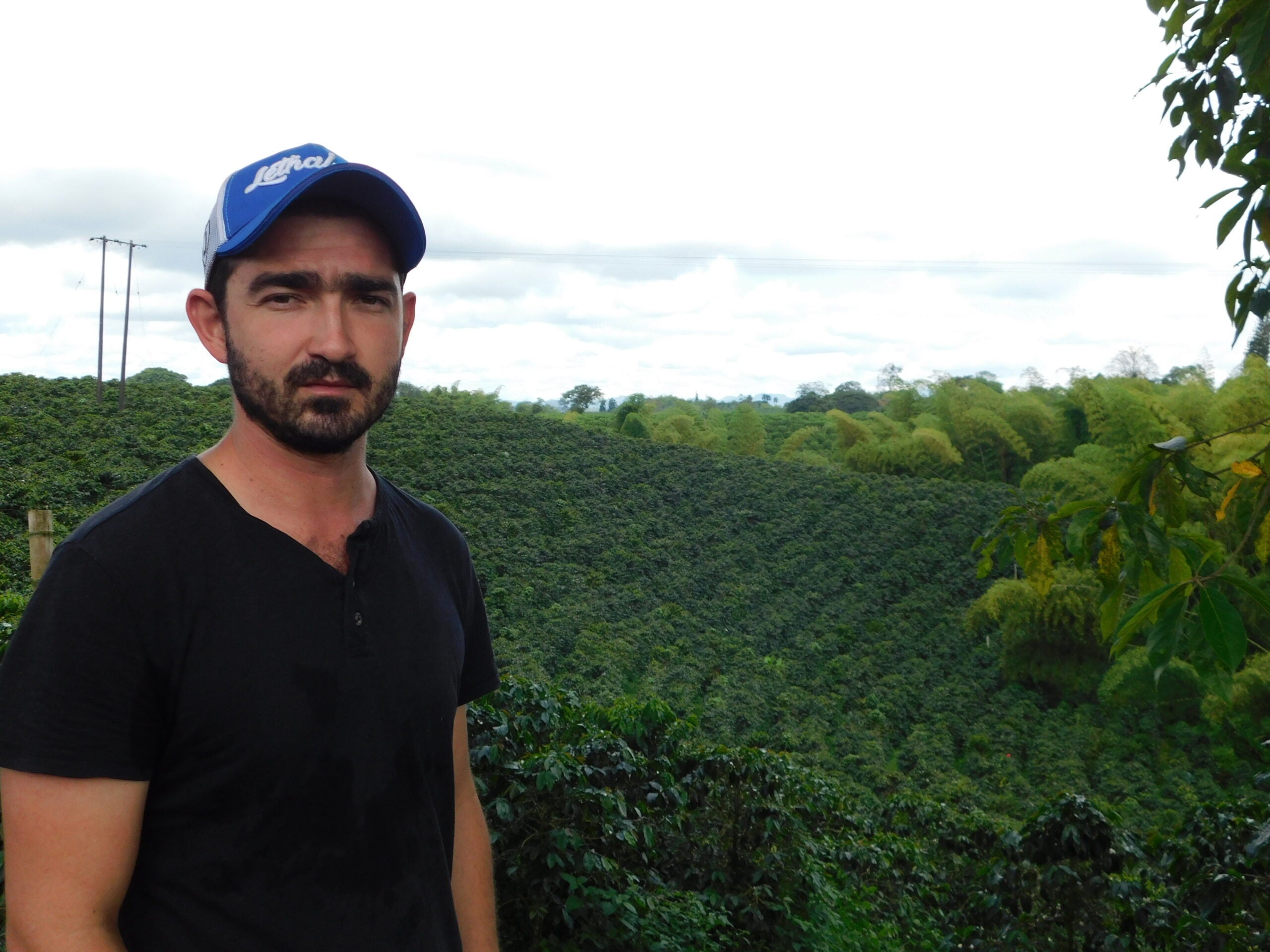 Colombia Arturo Arango El Paraiso Washed Castillo