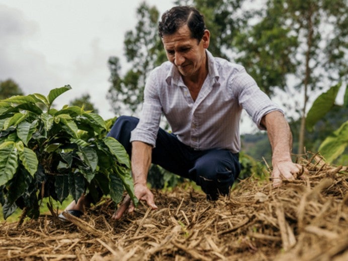 Peru El Palto Natural