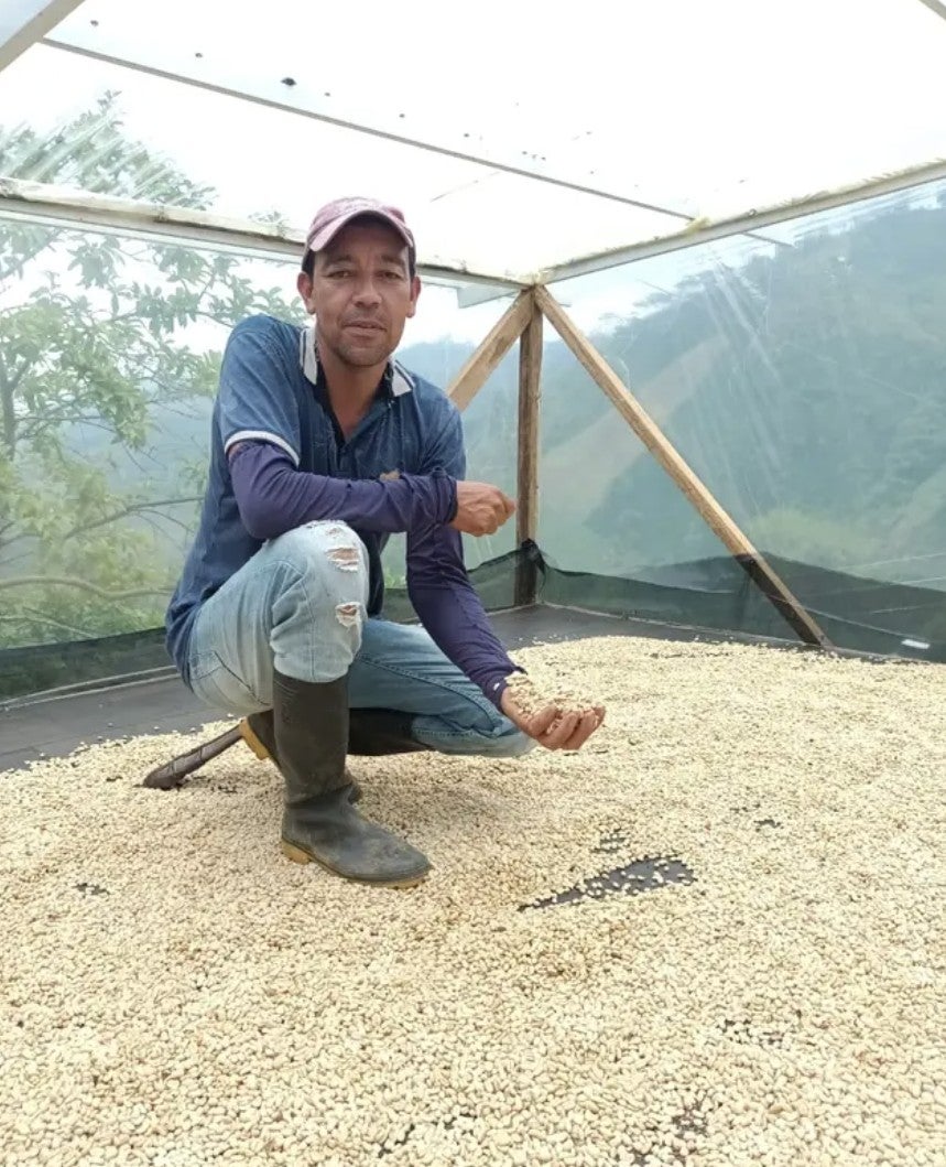 The Decaf Project (by James Hoffmann) | S&W Craft Roasting